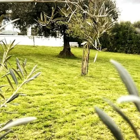 Quinta Chao Do Ribeiro