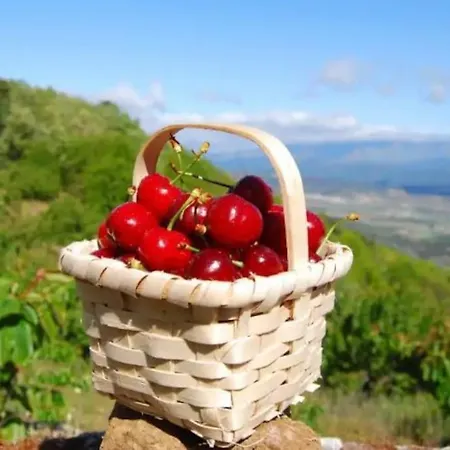 Quinta Chao Do Ribeiro Feriehus *