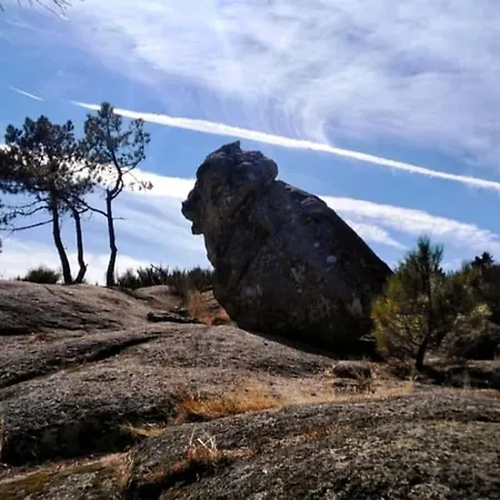 Quinta Chao Do Ribeiro 펜션 Carvalhal (Fundao)
