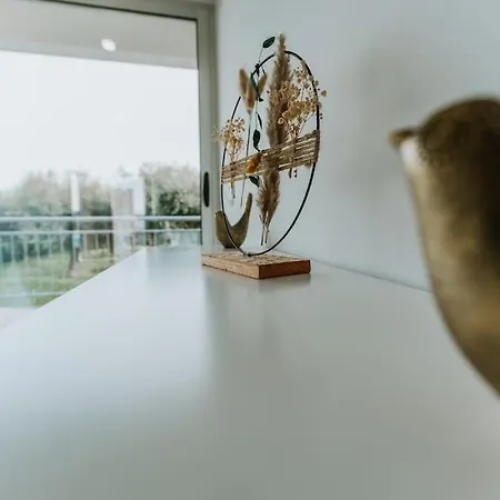 Quinta Chao Do Ribeiro 펜션 *