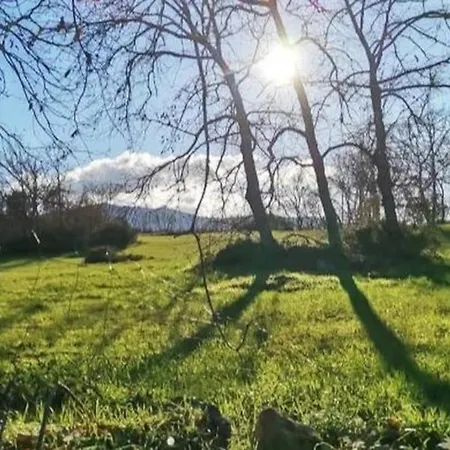 Quinta Chao Do Ribeiro *