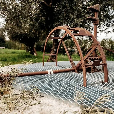 Quinta Chao Do Ribeiro Carvalhal (Fundao)