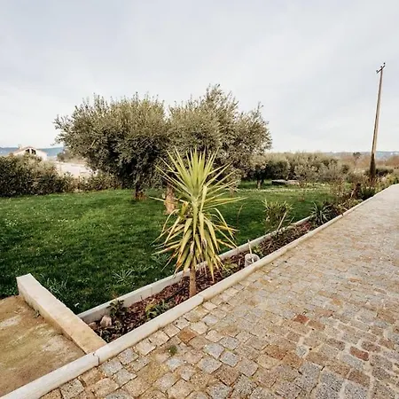 Quinta Chao Do Ribeiro *