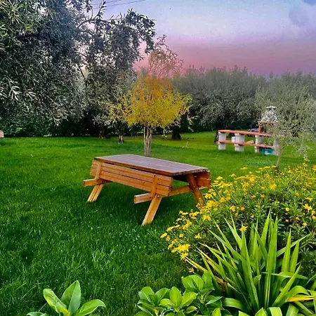 Holiday home Quinta Chao Do Ribeiro
