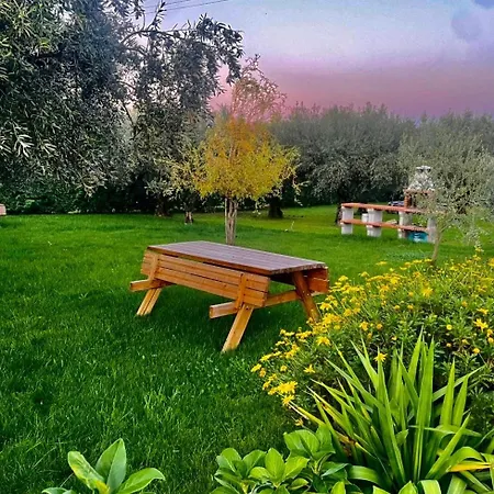 펜션 Quinta Chao Do Ribeiro