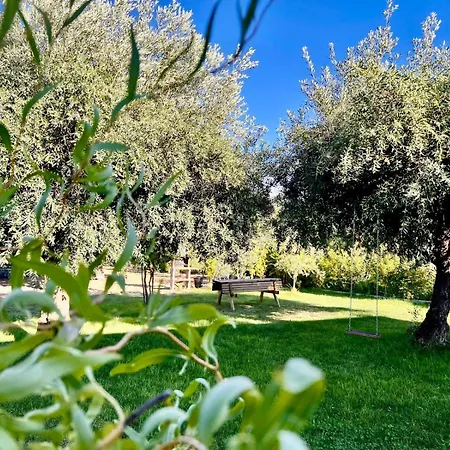 Quinta Chao Do Ribeiro Feriehus Carvalhal (Fundao)