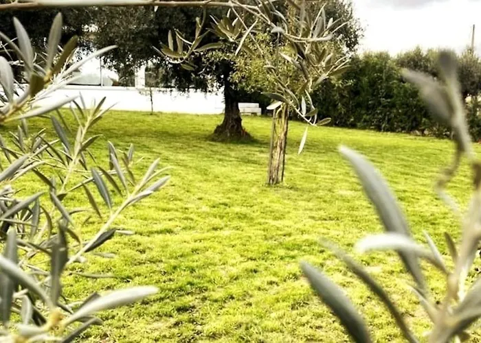 Quinta Chao Do Ribeiro