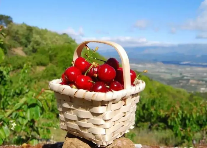 Quinta Chao Do Ribeiro Hébergement de vacances *