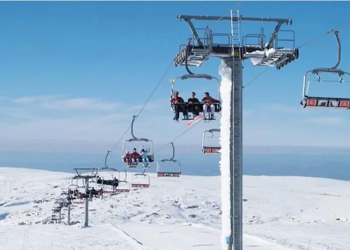 Quinta Chao Do Ribeiro *