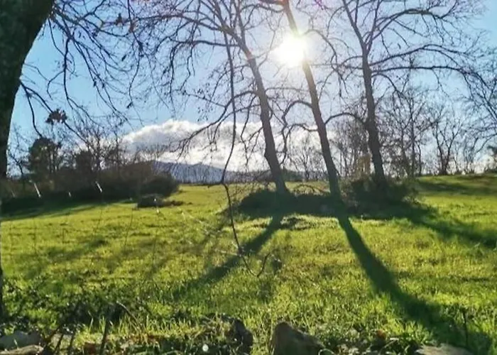 Quinta Chao Do Ribeiro *