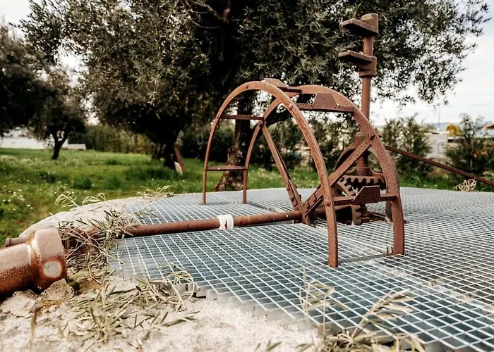 Quinta Chao Do Ribeiro Carvalhal (Fundao)