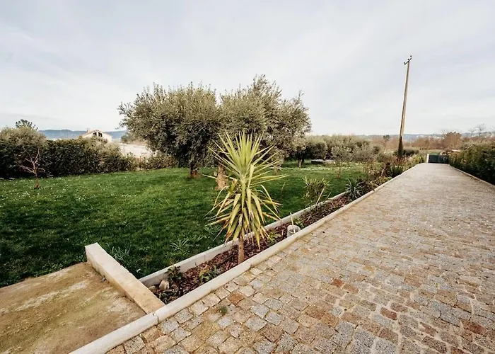 Quinta Chao Do Ribeiro *