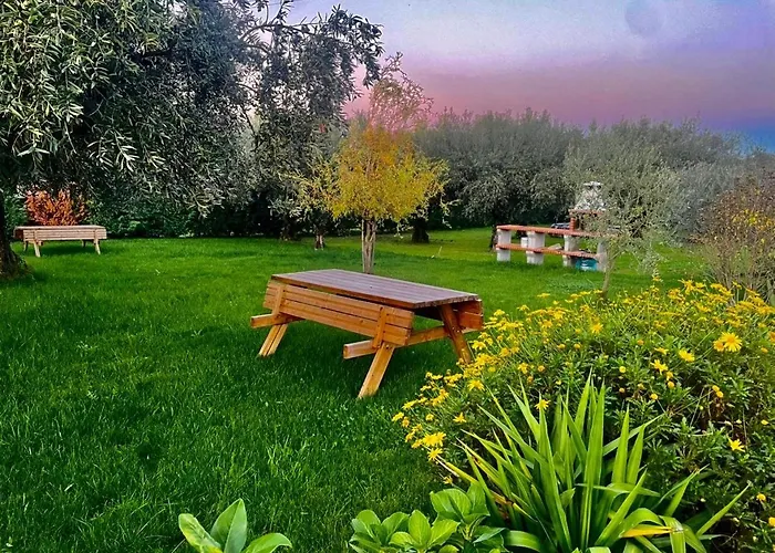 Hébergement de vacances Quinta Chao Do Ribeiro